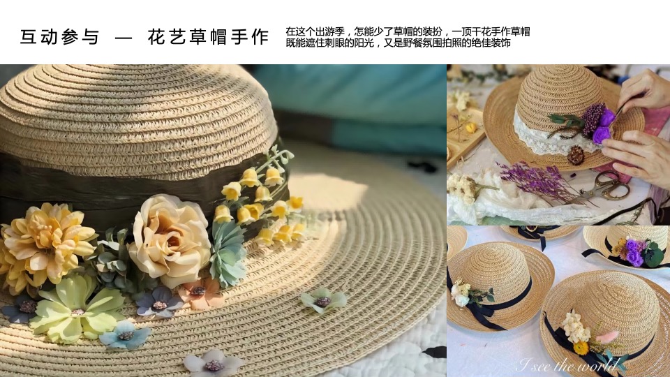 地产项目城市夏日星空露野计划活动策划方案