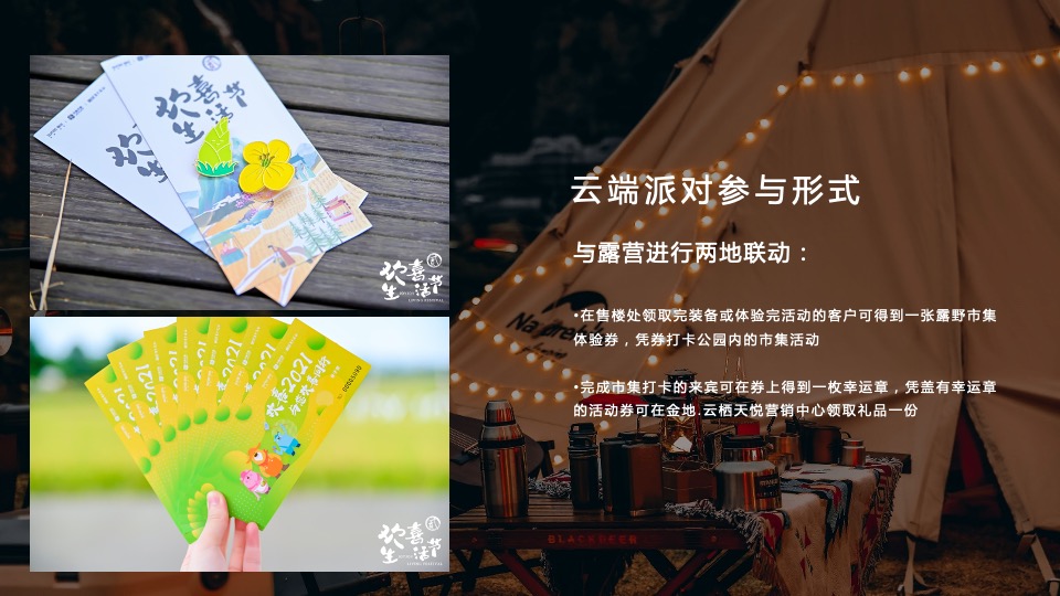 地产项目城市夏日星空露野计划活动策划方案