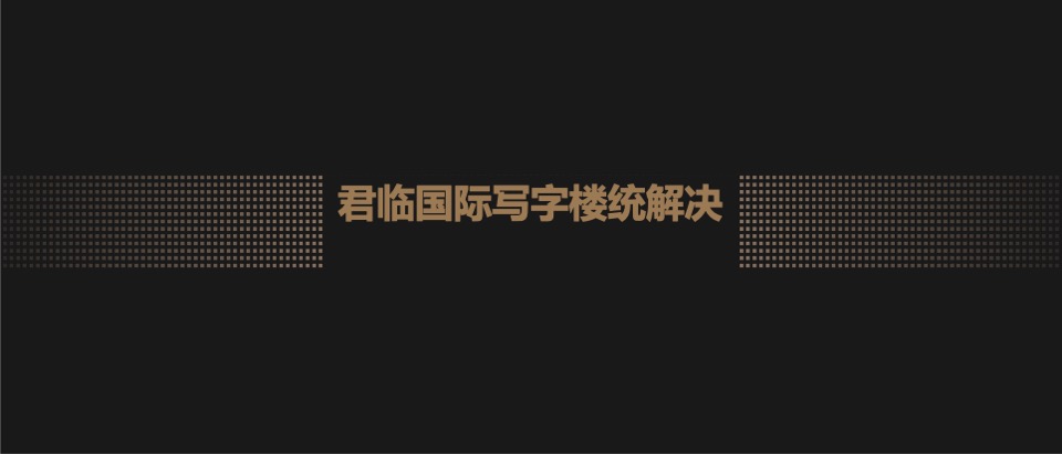 武汉君临国际项目推介PPT #写字楼#