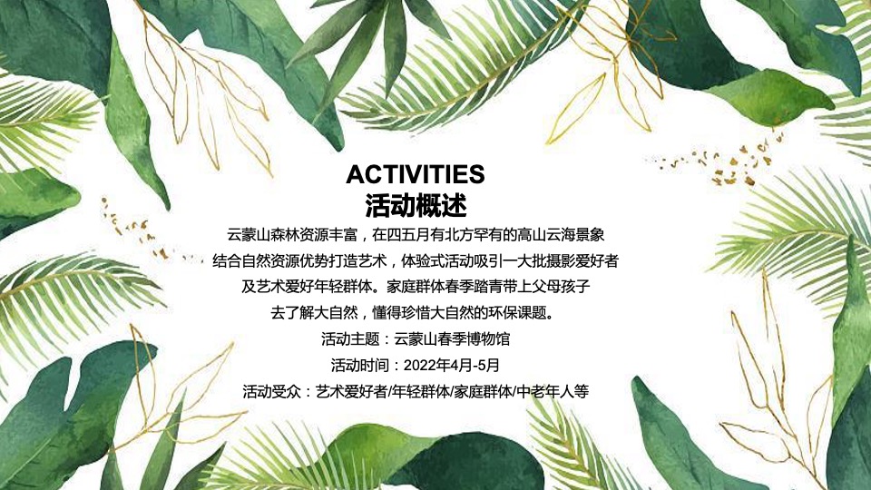 文旅景区年度活动策划方案