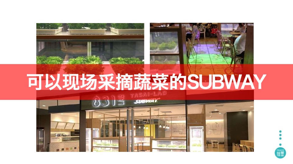 宝龙旭辉杨浦项目整合推广提报#上海拙墨广告#
