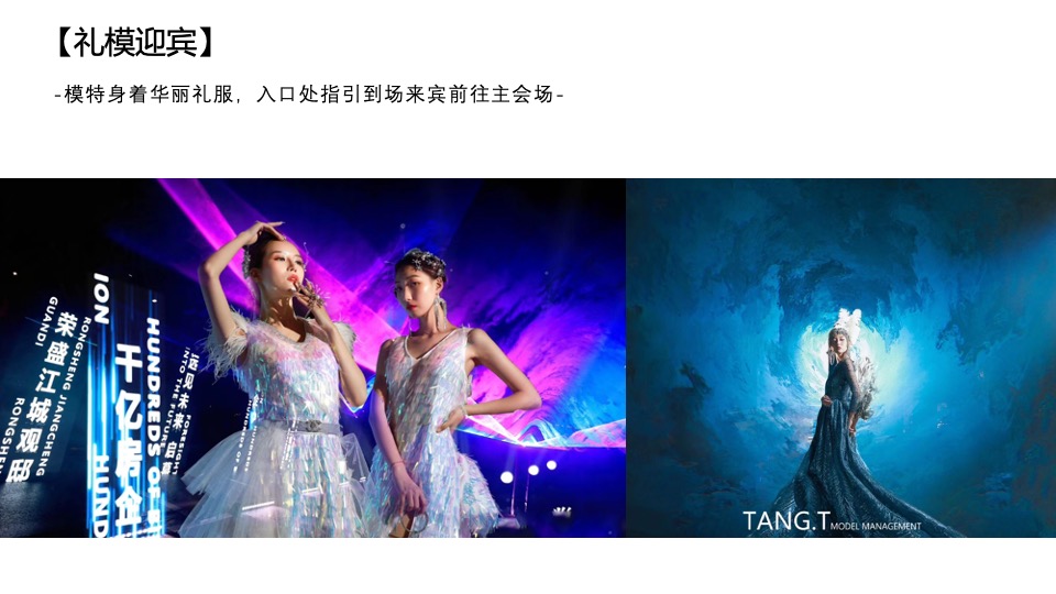 地产项目示范区开放（星河盛启 预鉴未来主题）活动策划方案