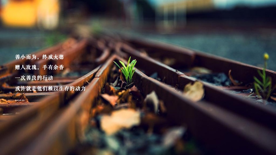 商业广场公益帐篷集市（同在阳光下·爱在帐篷里主题）活动策划方案