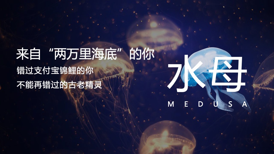 地产项目夏日海洋展（海洋微世界 趣味好时光主题）活动策划方案