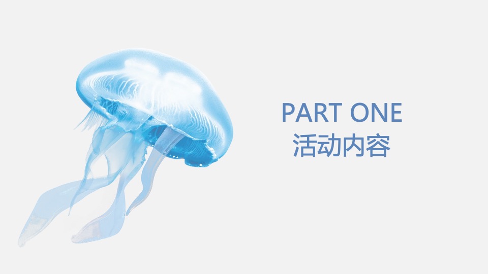 地产项目夏日海洋展（海洋微世界 趣味好时光主题）活动策划方案