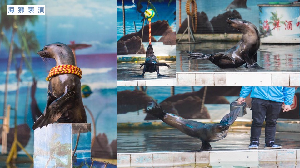 地产项目夏日海洋展（海洋微世界 趣味好时光主题）活动策划方案