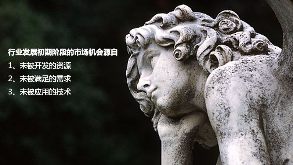 家电立升全年传播方案