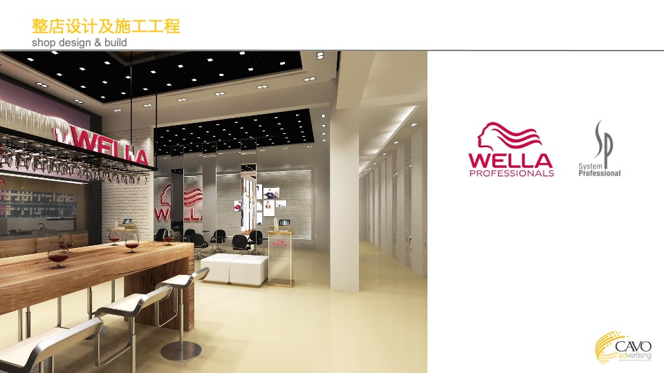 海尔冰箱、洗衣机、冰柜终端提升概念提案