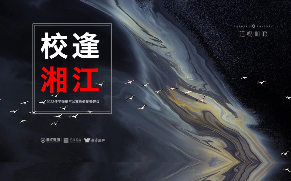 梦想越秀江悦和鸣推广策略提报 #学区盘# #小高层# #公寓#