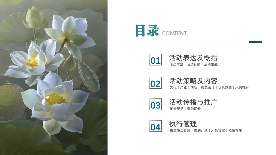 城市第六届夏日荷花文化节（花漾山南 荷你相遇主题）活动策划方案