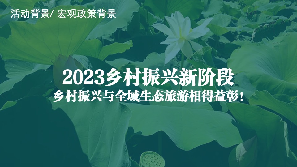 城市第六届夏日荷花文化节（花漾山南 荷你相遇主题）活动策划方案