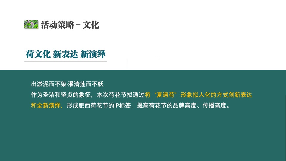 城市第六届夏日荷花文化节（花漾山南 荷你相遇主题）活动策划方案