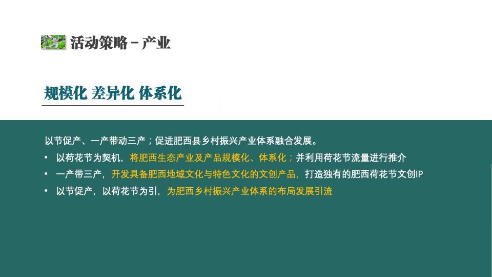 城市第六届夏日荷花文化节（花漾山南 荷你相遇主题）活动策划方案