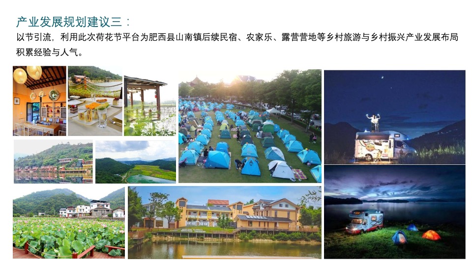 城市第六届夏日荷花文化节（花漾山南 荷你相遇主题）活动策划方案