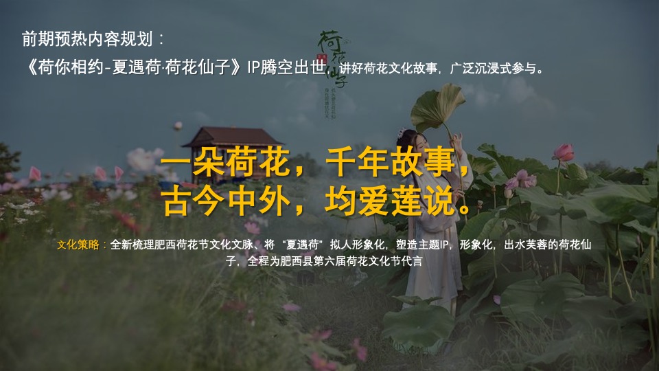 城市第六届夏日荷花文化节（花漾山南 荷你相遇主题）活动策划方案