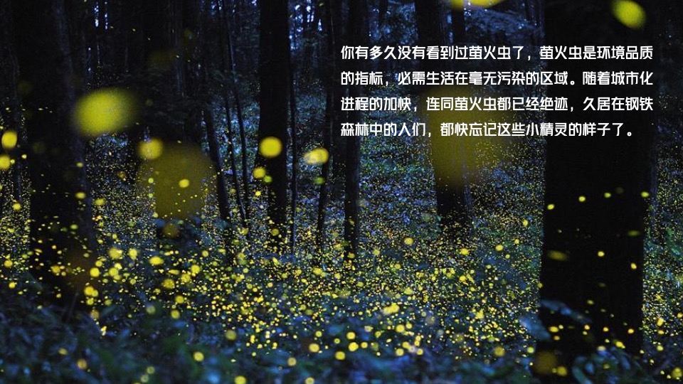 地产项目无边泳池开放（泳池流萤·仲夏之梦主题）活动策划方案