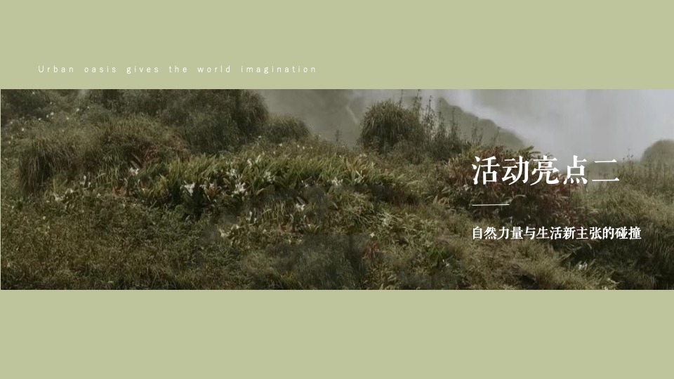 地产项目售楼处开放暨样板间开放（城市绿洲 予世界想象主题）活动策划方案