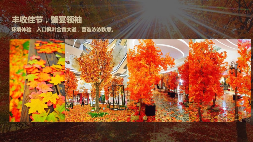 万科海西金融广场业主高定私宴活动策划案 #全蟹私宴#