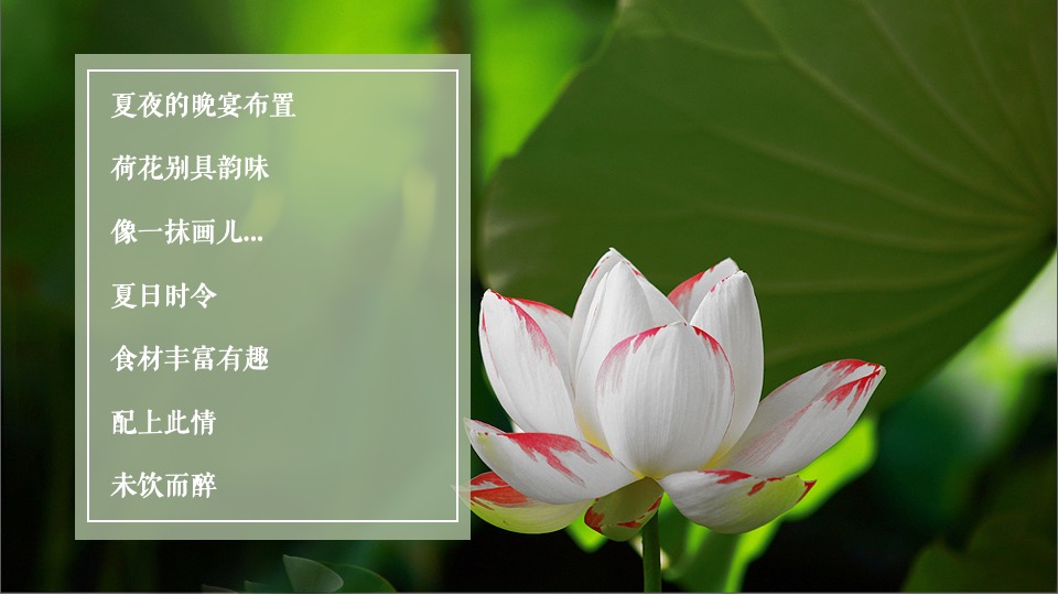 地产项目媒体答谢晚宴（时令食令·夏日荷花宴主题）活动策划方案