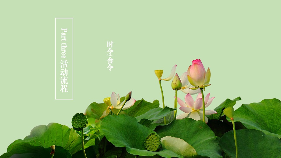 地产项目媒体答谢晚宴（时令食令·夏日荷花宴主题）活动策划方案