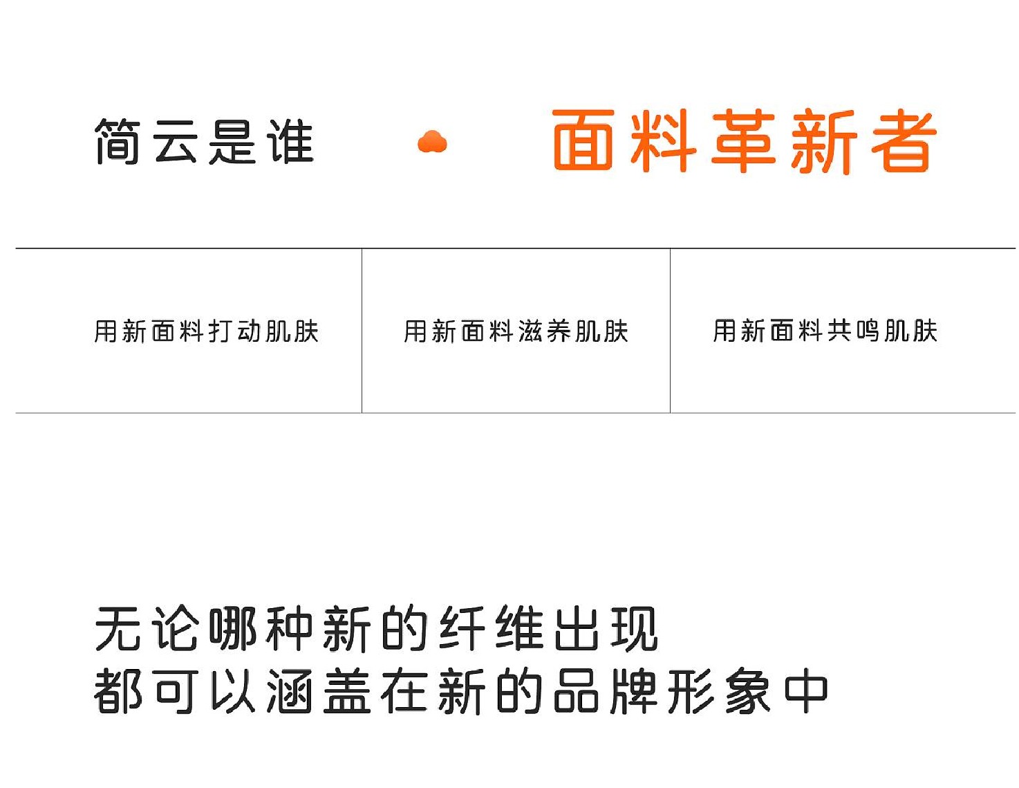 简云内衣品牌策划及创意方案