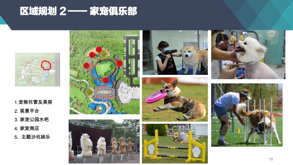 萌宠乐园概念策划和产业规划汇报方案