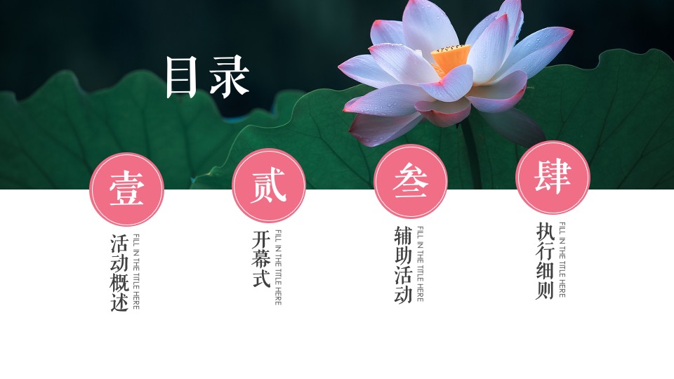 城市旅游节暨首届荷花节活动策划方案