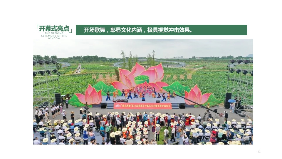 城市旅游节暨首届荷花节活动策划方案