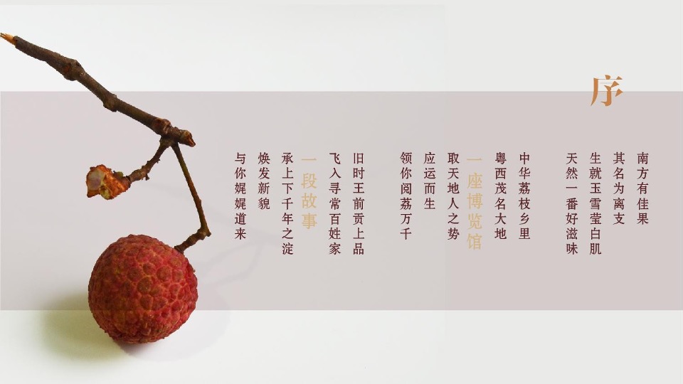 中国荔枝博物馆展示设计规划方案