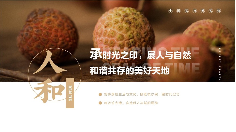 中国荔枝博物馆展示设计规划方案