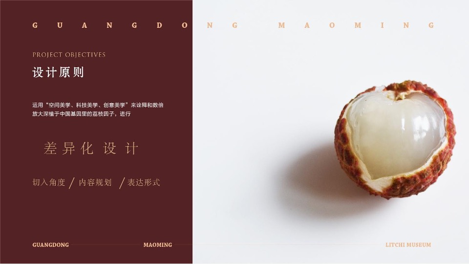 中国荔枝博物馆展示设计规划方案