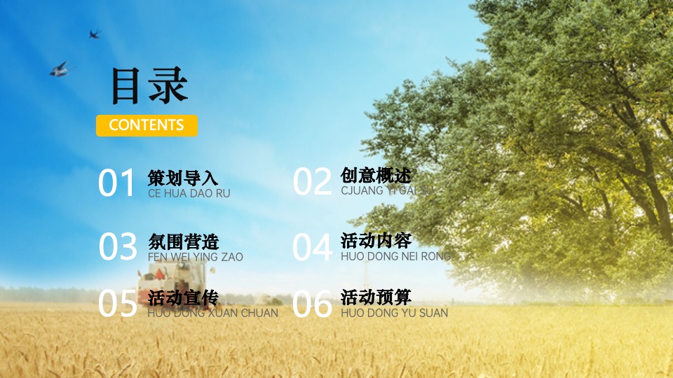 金秋乡村丰收节活动策划方案