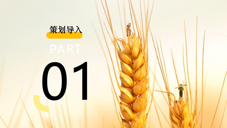 金秋乡村丰收节活动策划方案