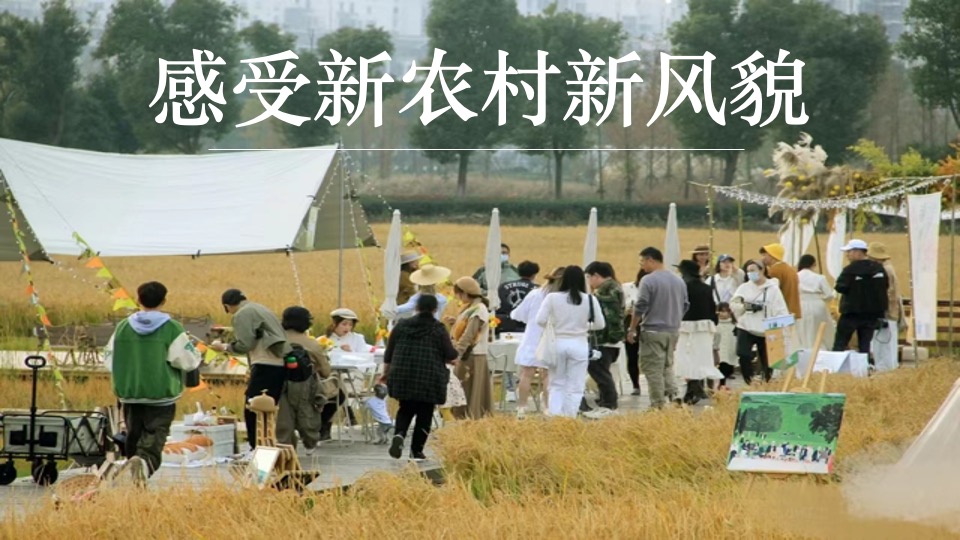 金秋乡村丰收节活动策划方案