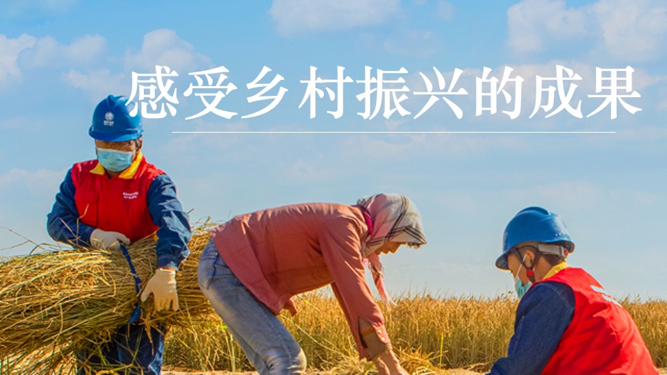 金秋乡村丰收节活动策划方案