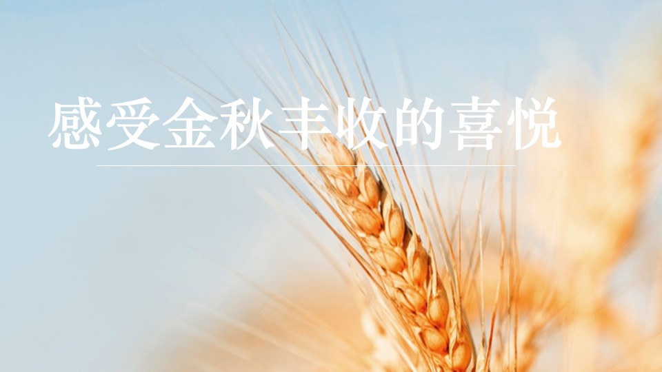 金秋乡村丰收节活动策划方案