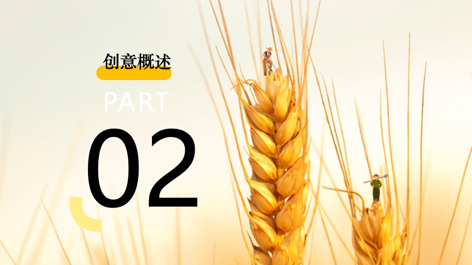 金秋乡村丰收节活动策划方案