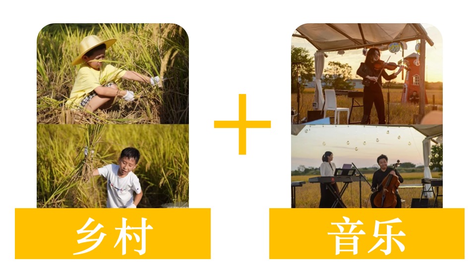 金秋乡村丰收节活动策划方案