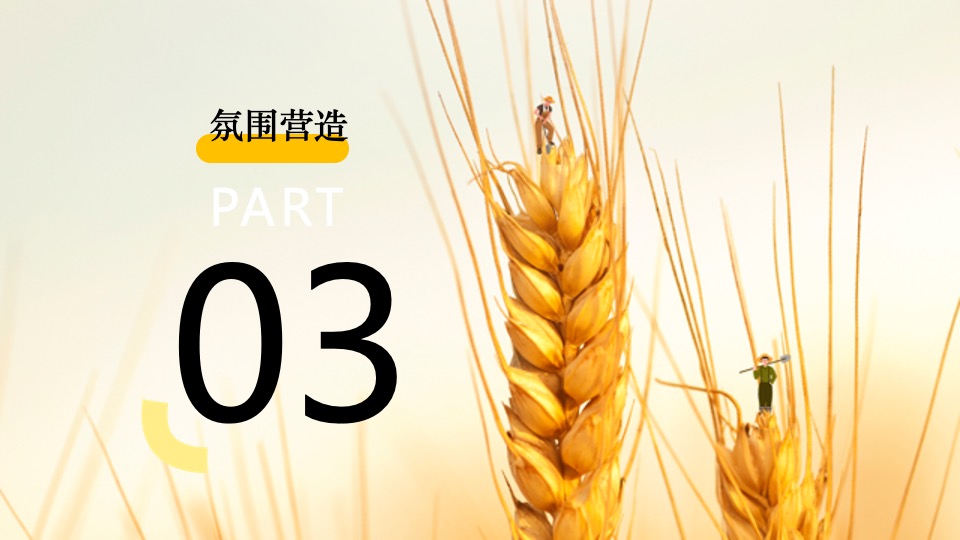 金秋乡村丰收节活动策划方案