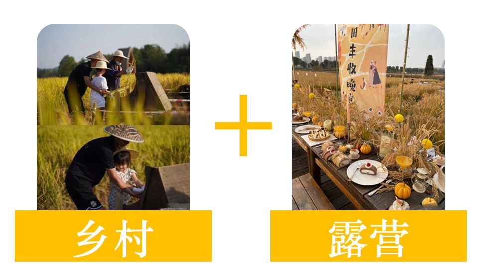 金秋乡村丰收节活动策划方案