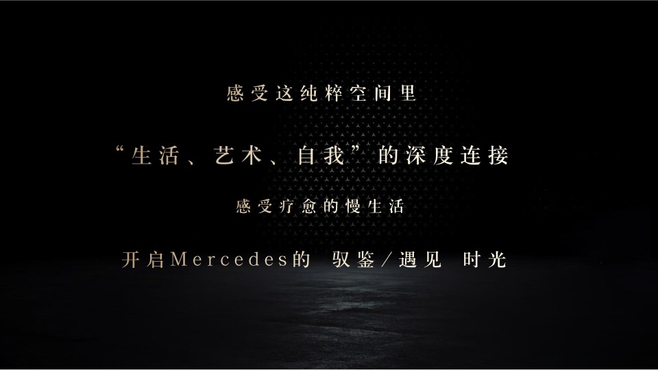 汽车品牌圈层体验系列（臻赏·驭鉴主题）活动策划方案