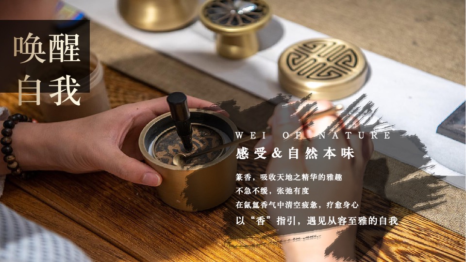 汽车品牌圈层体验系列（臻赏·驭鉴主题）活动策划方案