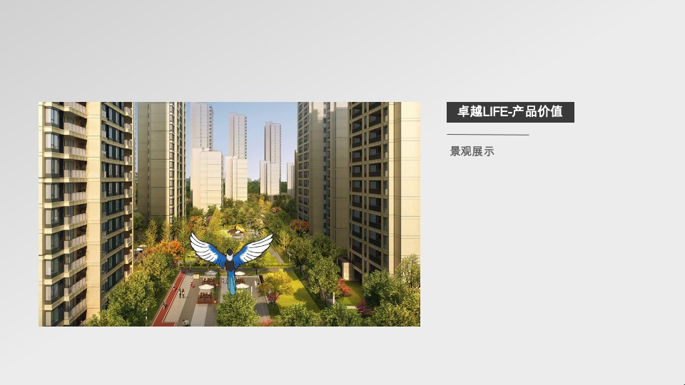 秀宸华府视频号运营规划