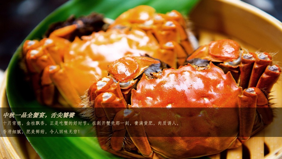 地产项目中秋蟹宴品鉴（与君“蟹”逅 ·礼谢全城主题）活动策划方案