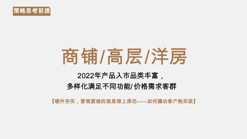 池州中骏·世界城营销策略提报 #年度方案#