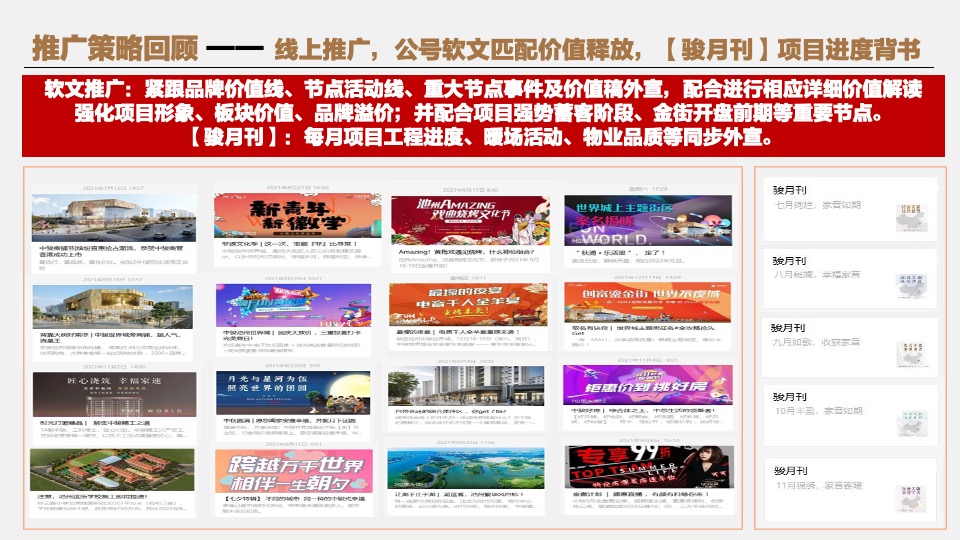 池州中骏·世界城营销策略提报 #年度方案#