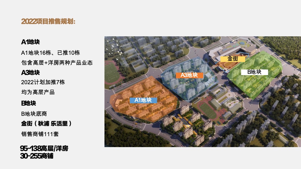 池州中骏·世界城营销策略提报 #年度方案#