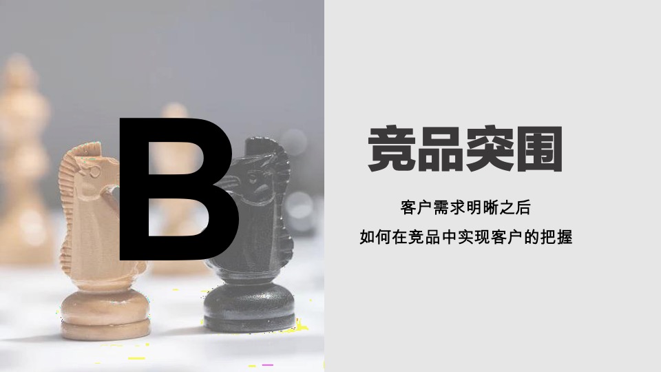 池州中骏·世界城营销策略提报 #年度方案#