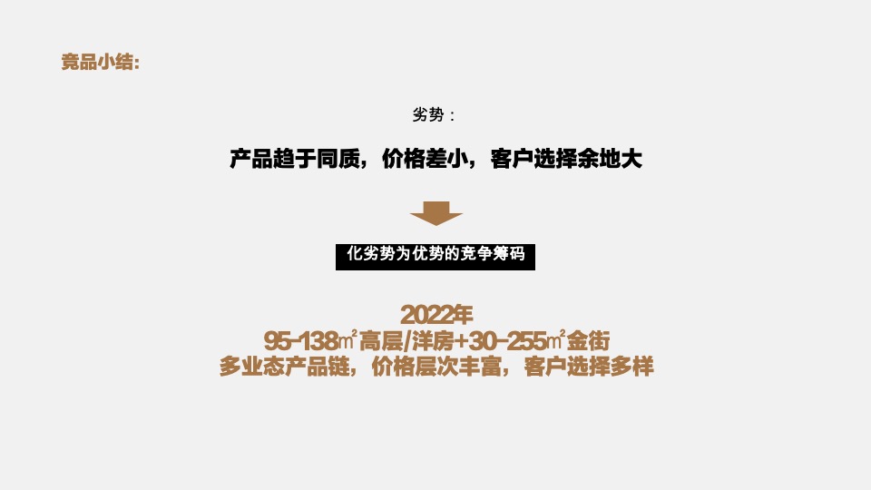 池州中骏·世界城营销策略提报 #年度方案#