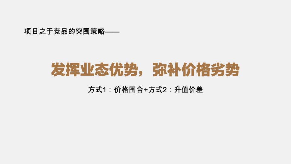 池州中骏·世界城营销策略提报 #年度方案#